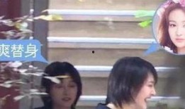 娱乐替身爆料,替身背后的真实故事