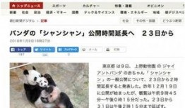 熊猫天天最新新闻爆料,最新热点事件内幕曝光